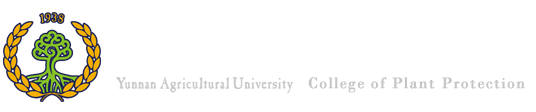 yl9193永利集团